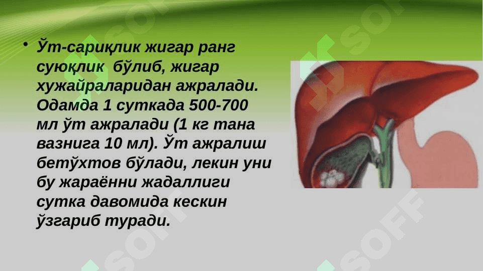 Sariqlikning biokimyoviy jihatdan differensial tashxisi 2
