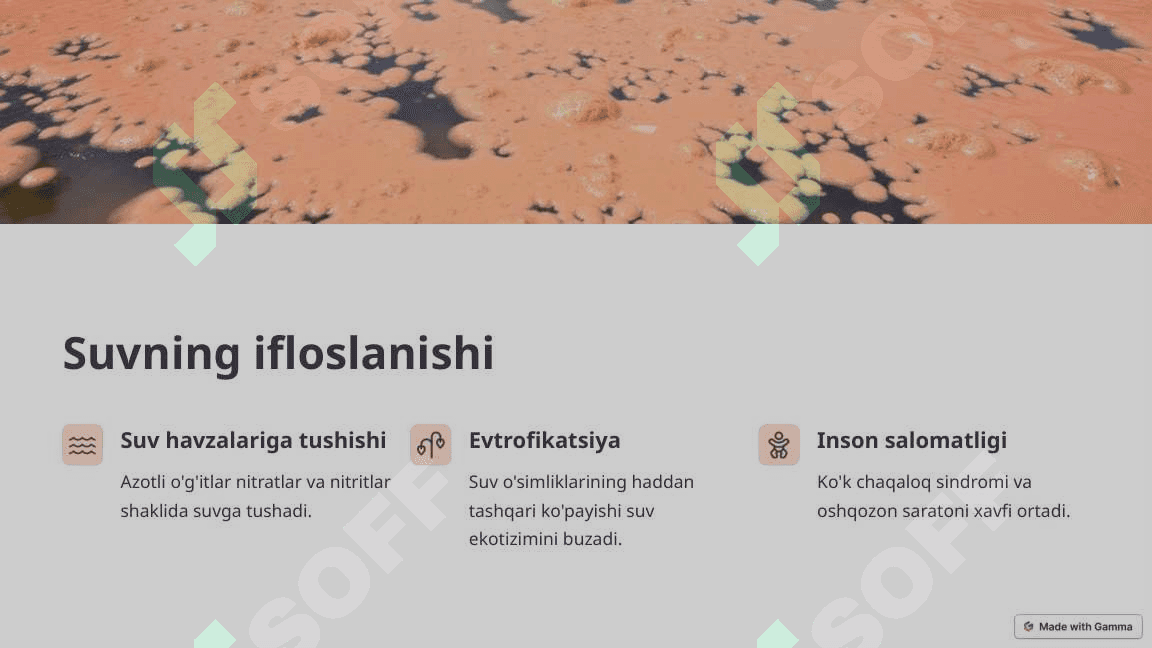 Azotli o'g'itlarning ekologik muammolari 3