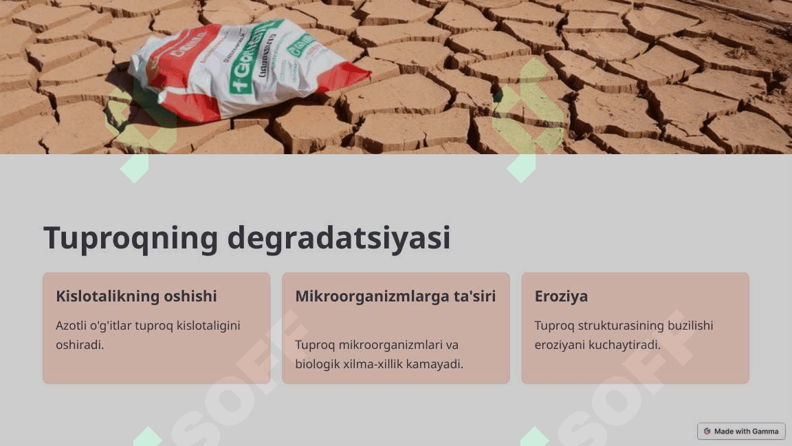 Azotli o'g'itlarning ekologik muammolari 4