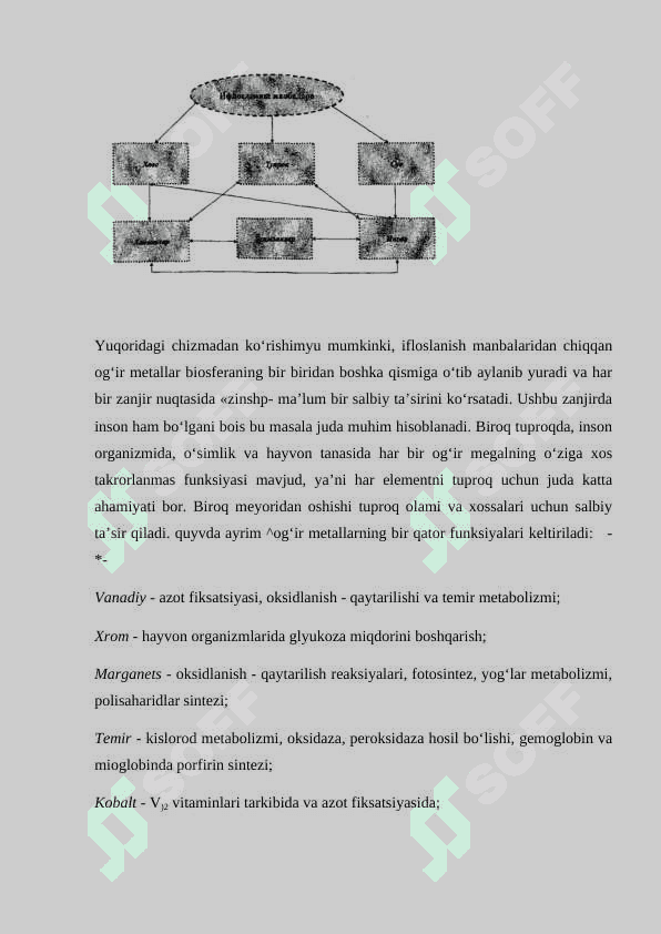 Tuproqlarni og‘ir metallar bilan ifloslanish omillari va manbalari 3