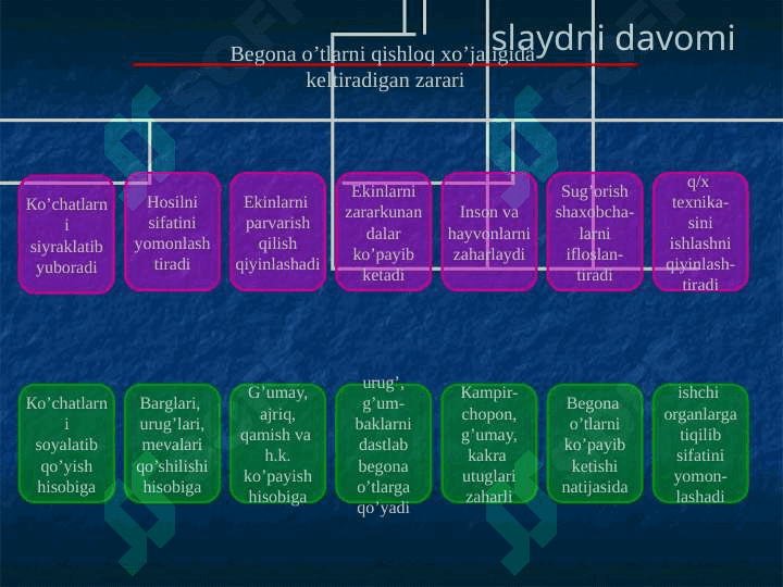 Mavzu: Begona o'tlar, ularning zarari va biologik xususiyatlari. 8