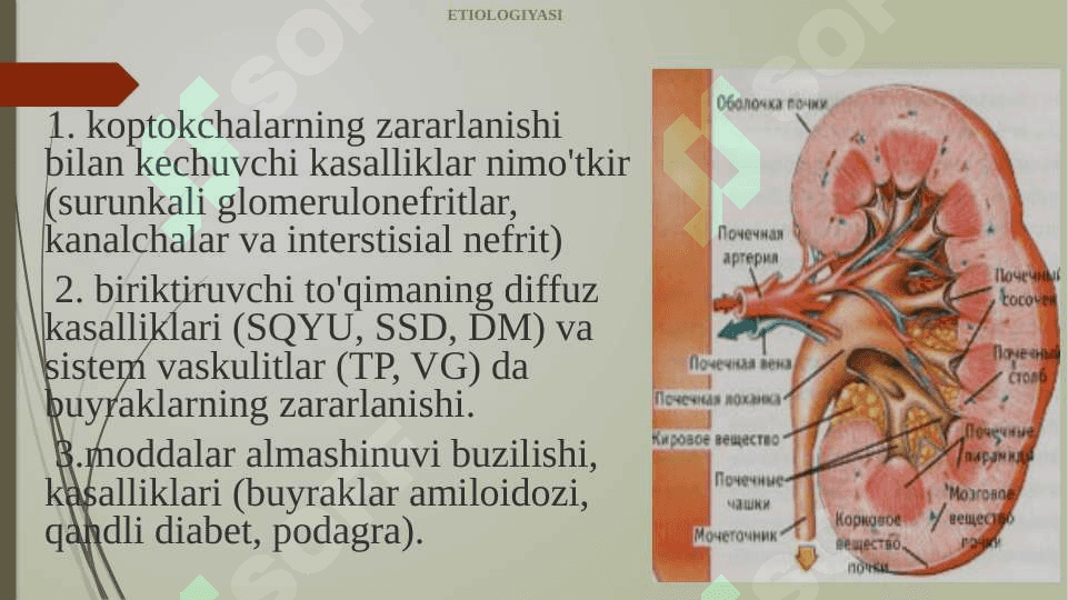 Surunkali buyrak yetishmovchiligi 4