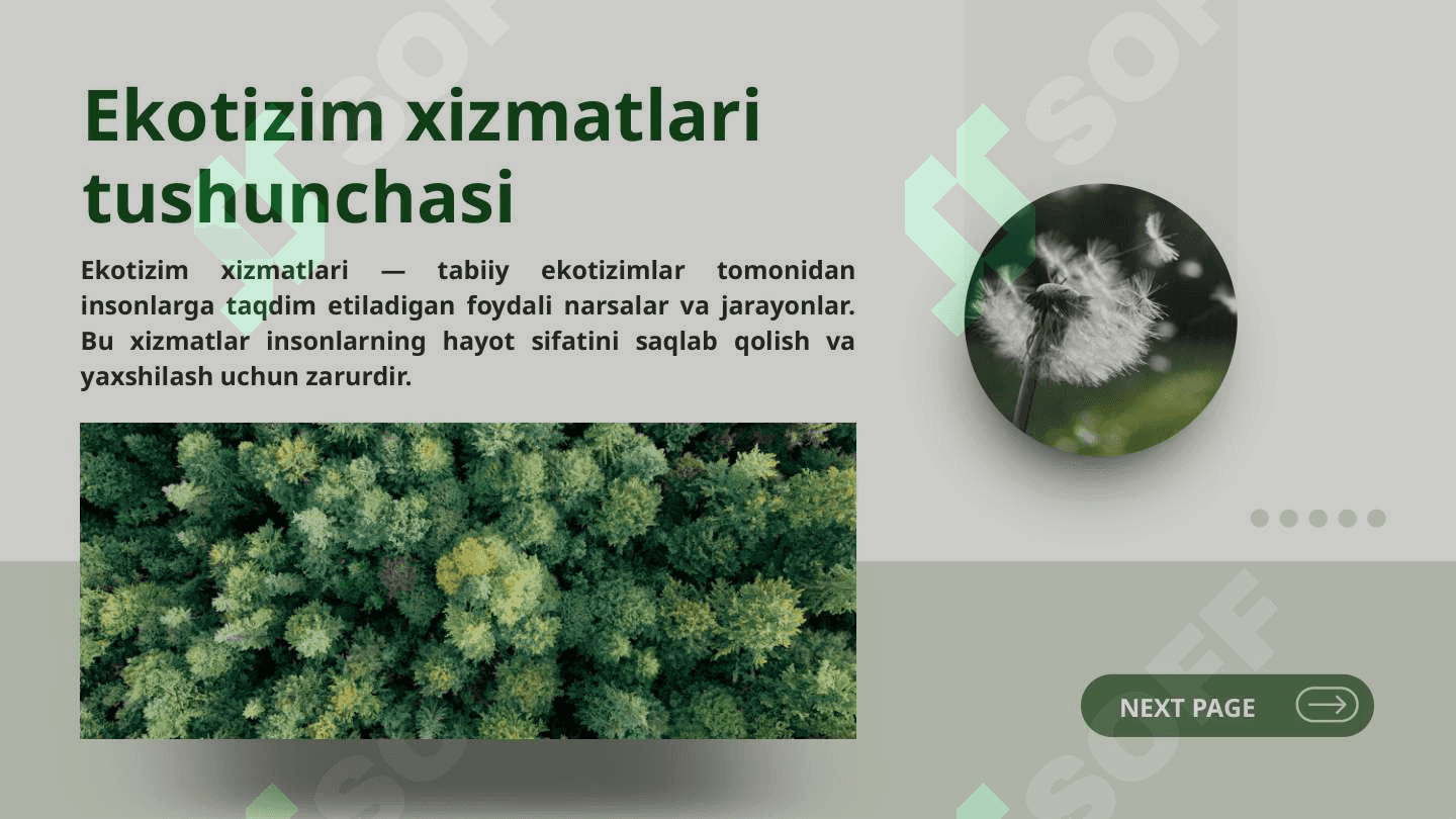 EKOTIZIM HIZMATLARINING XOLATLARI 2