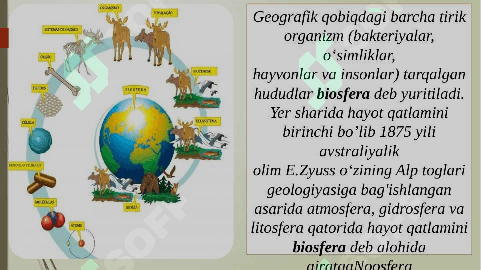 Biosfera haqida tushuncha. Vernadskiy ta’limoti, noosfera 2