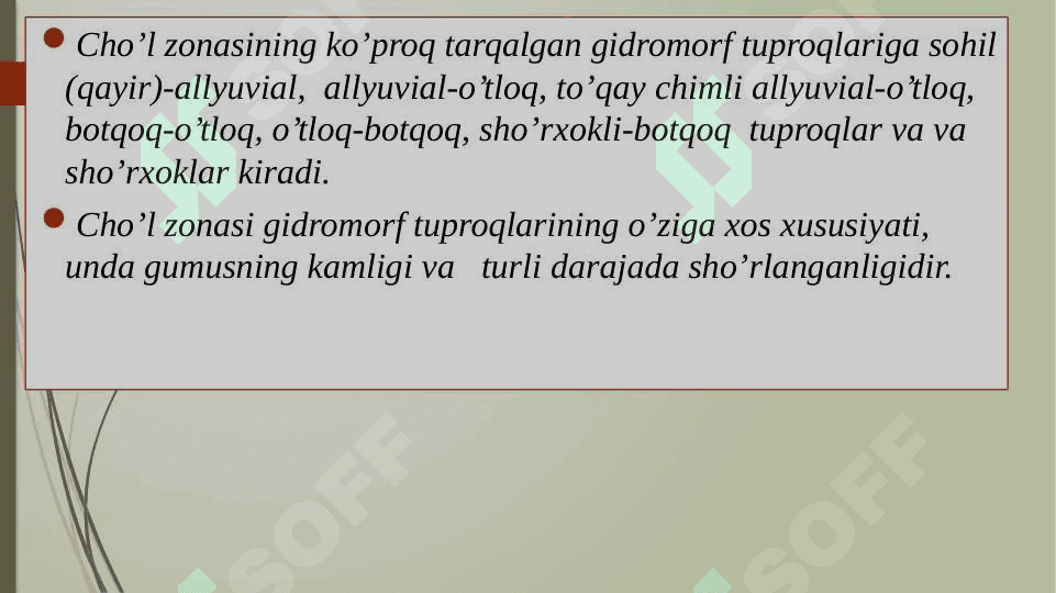 Gidromorf o‘tloqi tuproqlar 8