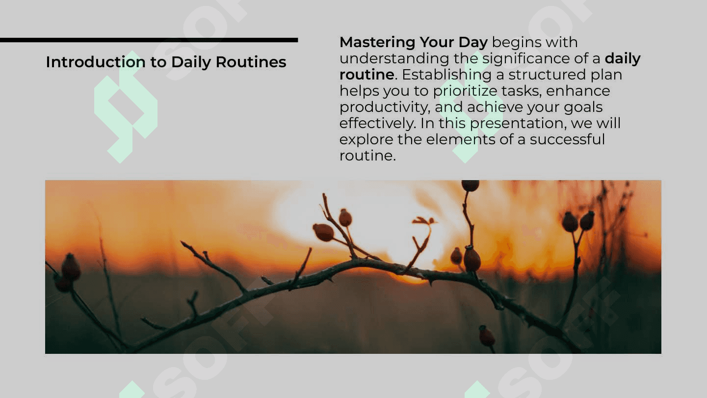Daily routine 2