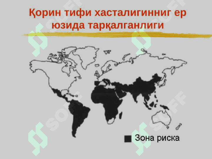 Ич терлама – қорин тифи 8