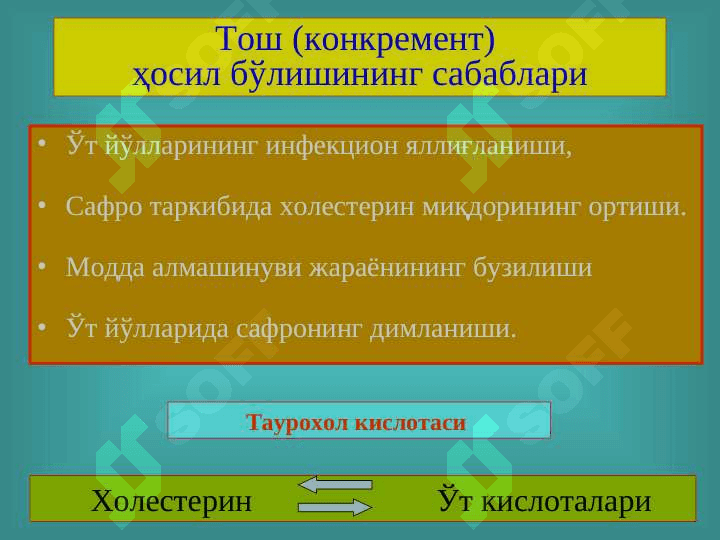 Ўт тош ва тошсиз холецистит 7