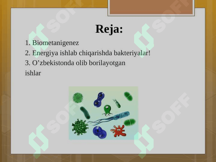 Biogaz olish qurilmalari 2
