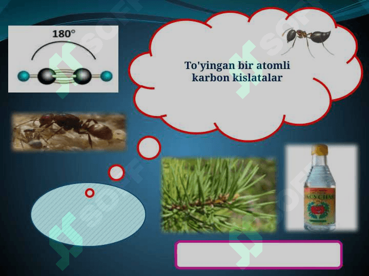 To'yingan bir atomli karbon kislatalar 4