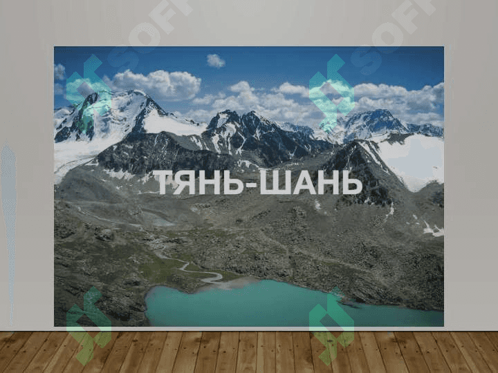 Tyan-Shan kaledon burmachan 4