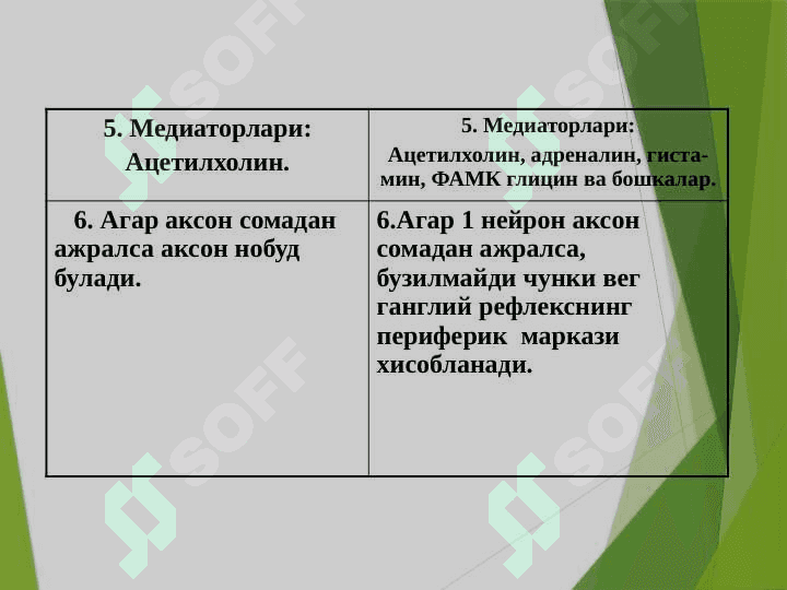 Вегетатив нерв тизими 4