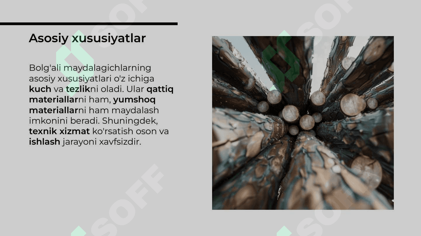 Bolg'ali maydalagich 4