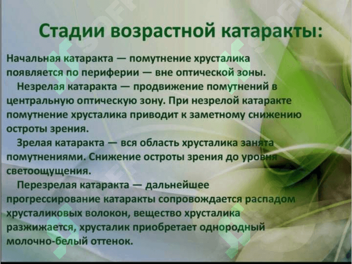 Катаракта 6