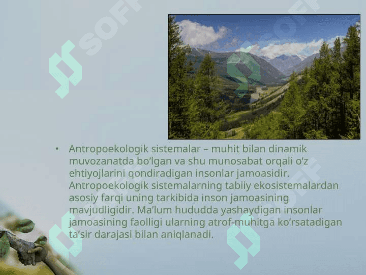 INSON EKOLOGIYASI 4