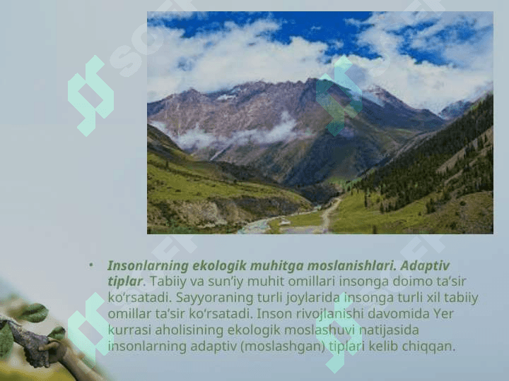 INSON EKOLOGIYASI 8