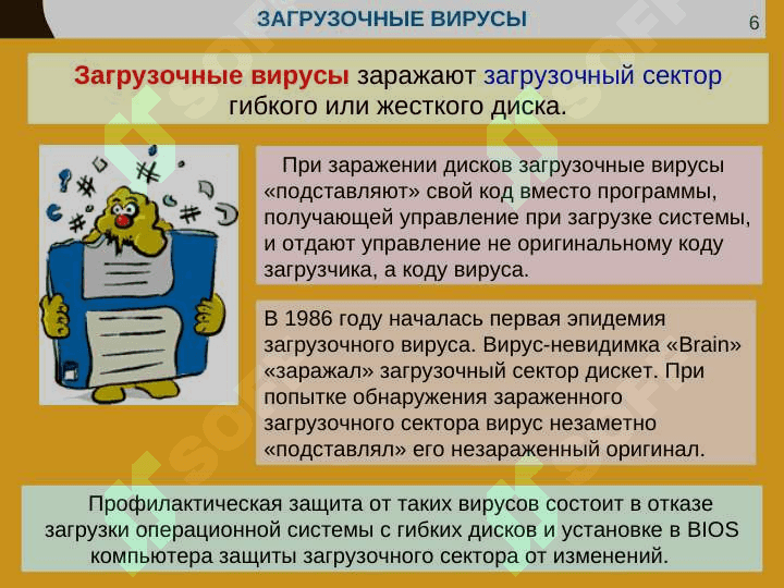ЗАЩИТА ОТ КОМПЬЮТЕРНЫХ ВИРУСОВ 5