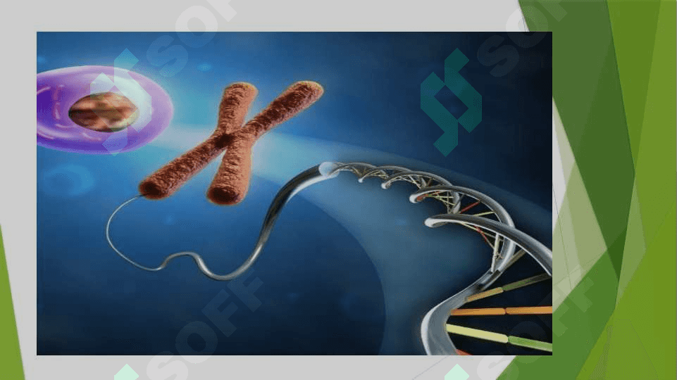 Oqsil biosintezida RNK va DNK ning roli.Oqsil biosintezida RNK va DNK ning roli. 2
