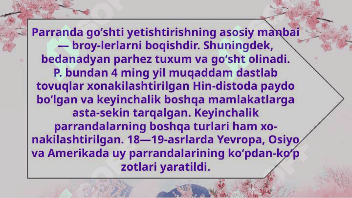 Parrandachilikda naslchilik ishlari. 8
