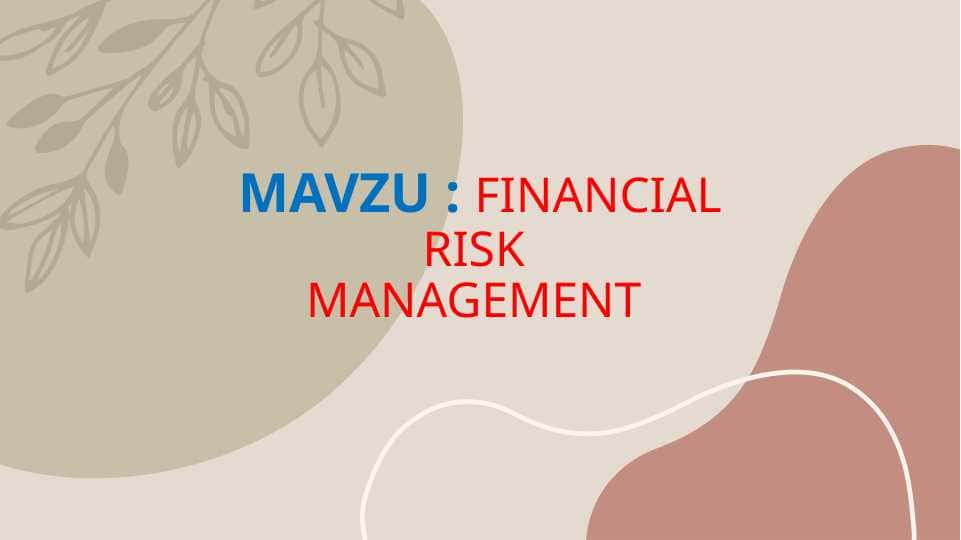 FINANCIAL RISK MANAGEMENT