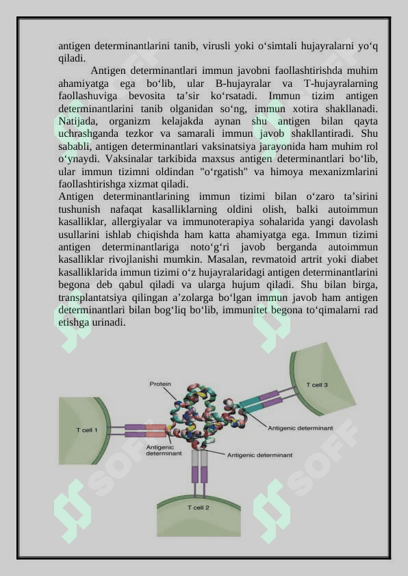 Antigen determinanlari va ularning immunologik xususiyatlari 5
