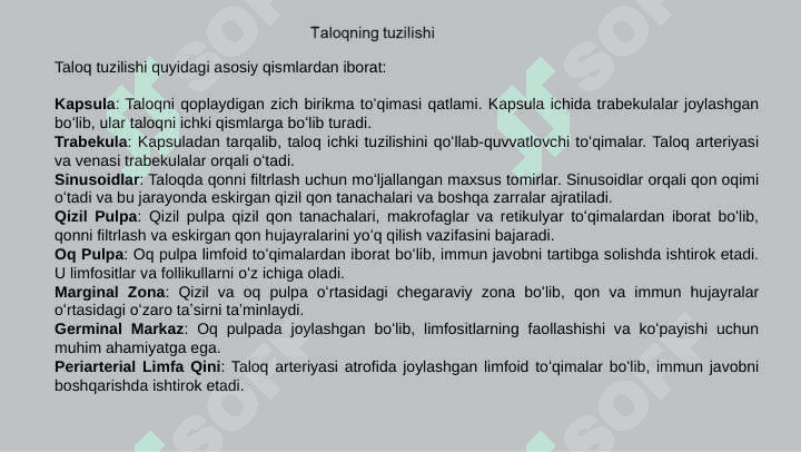 Taloq 4