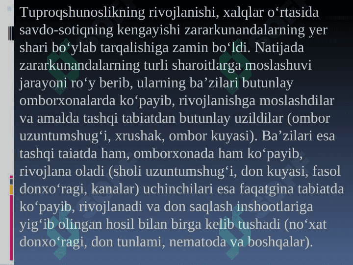 DON ZAHIRASI ZARARKUNANDALARI 5