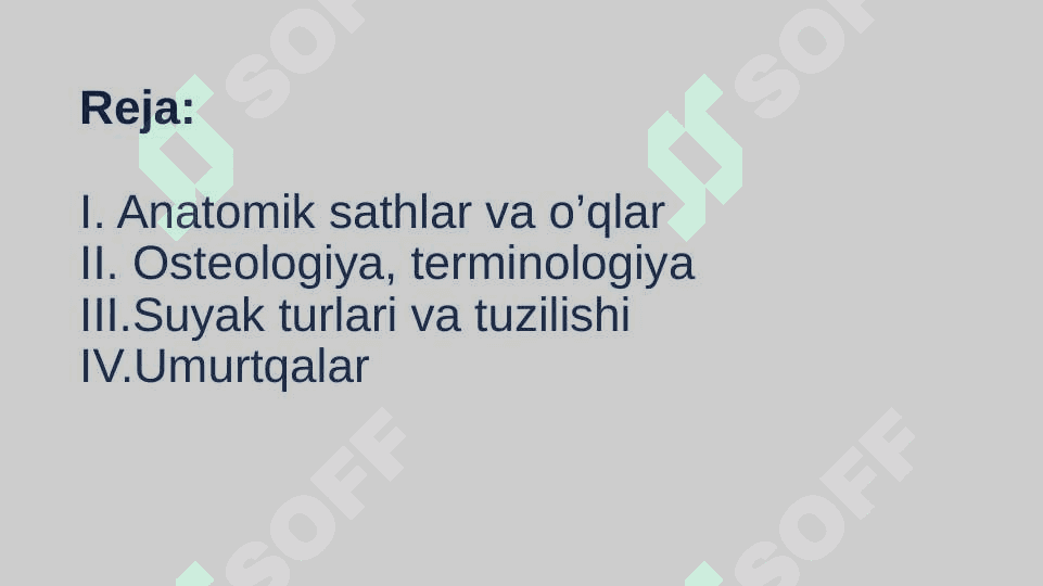 Anatomik sathlar,o‘qlar. Umumiy osteologiya. Umurtqalar 2