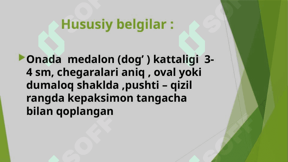 Jiberning pushti temiratkisi Deverji  kasaligi 6