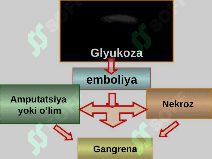 Қандли диабет 4