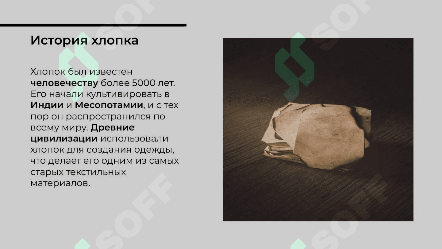 Хлопок и хлопковые изделия 3