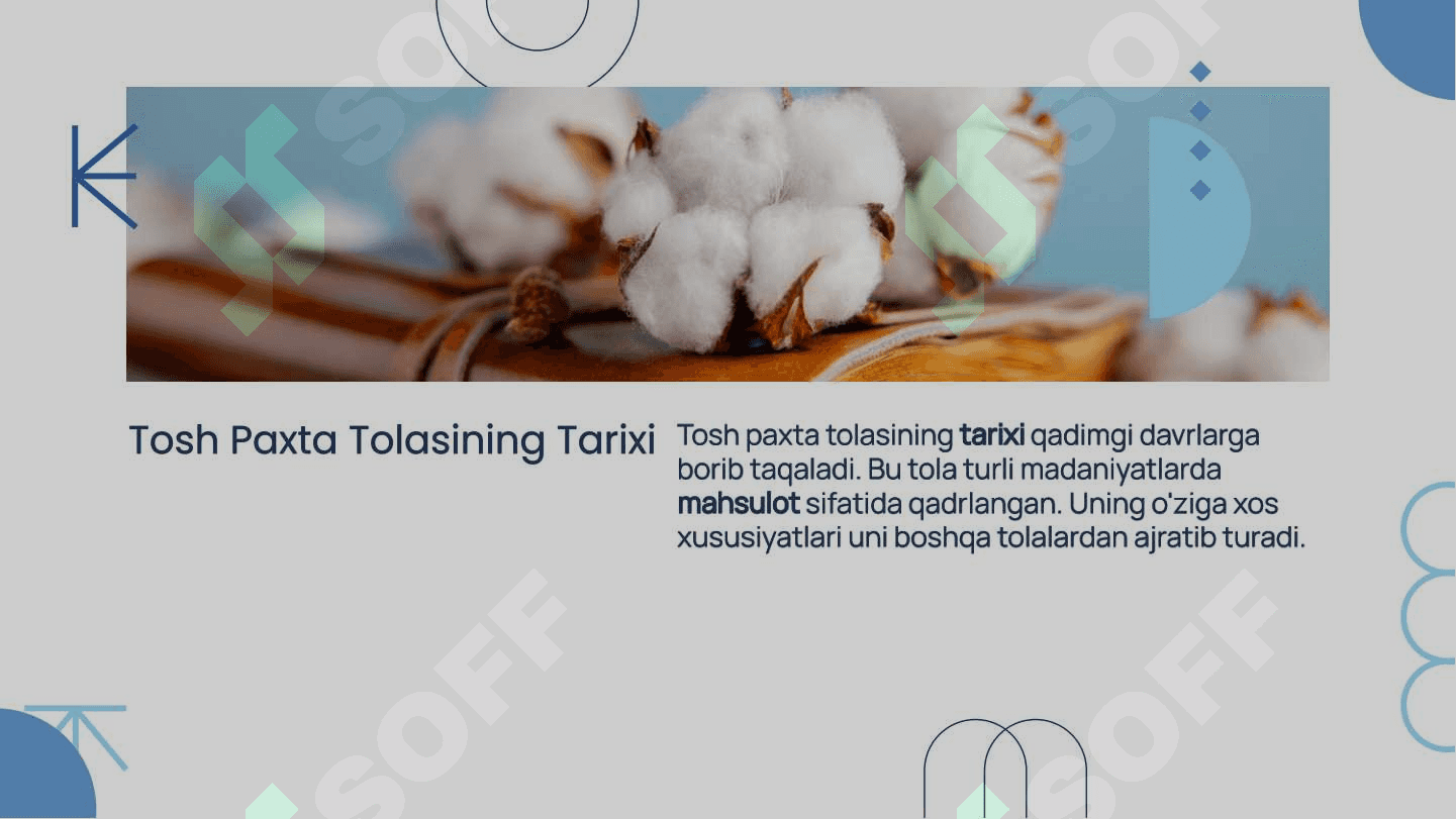 Tosh Paxta Tolasining Olinishi va Uning Hususiyatlari 3