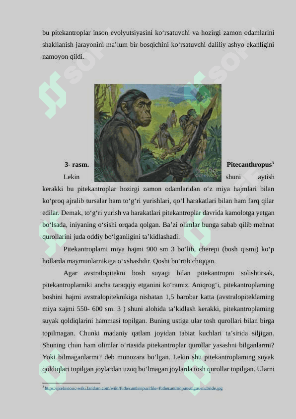Eng qadimgi odamlarning mehnat faoliyati va turmush tarzi 7