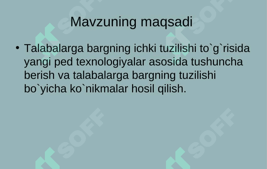 Barglarning ichki tuzilishi 3