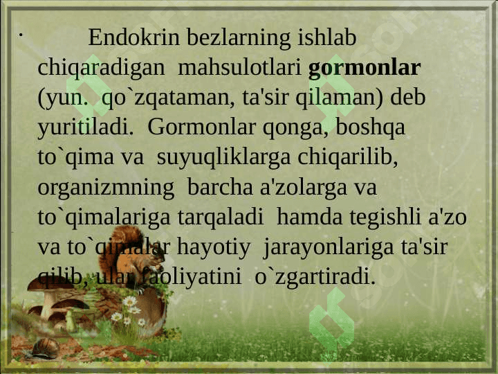 Jigar, o’t pufagi va  meda osti bezi 5
