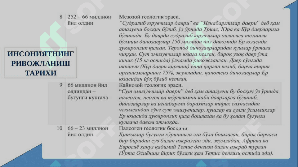Ўзбек давлатчилигининг шаклланиши ва тараққиёт босқичлари 5