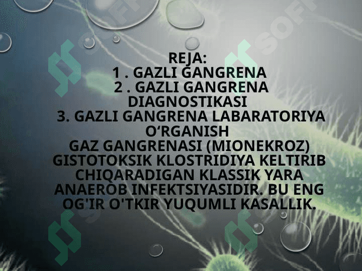 GAZLI GANGRENA

KLINIKA VA DAVOLASH 2