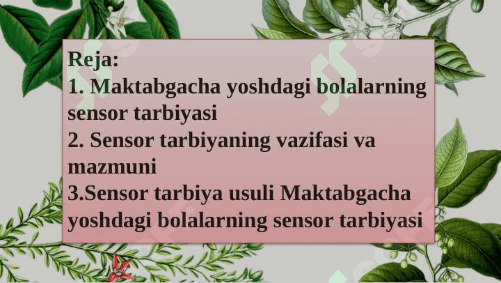 Maktabgacha yoshdagi bolalarning sensor tarbiyasi 2