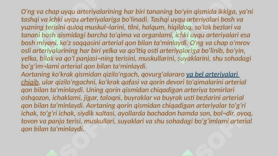Qon aylanish tizmining anatomo-funksional tuzulishi 4