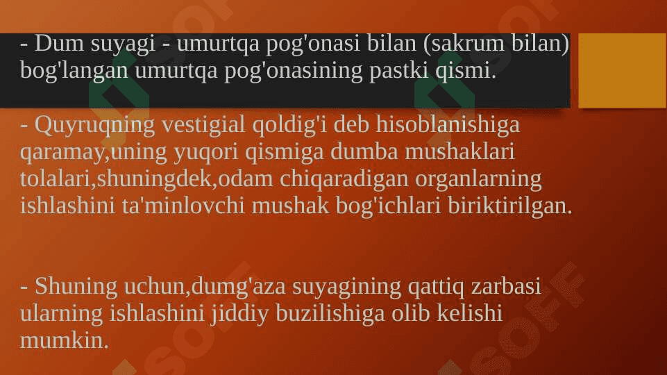 Dum suyagini shikastlanishi 2