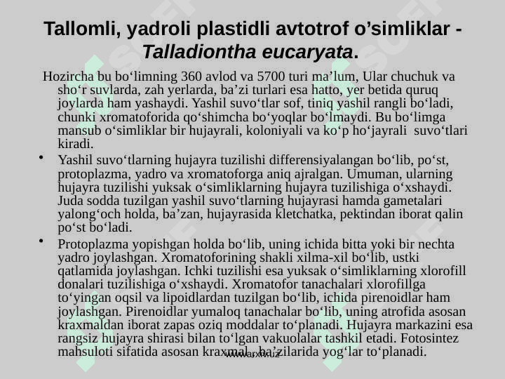Yashil suvo‘tlari bo‘limi 2