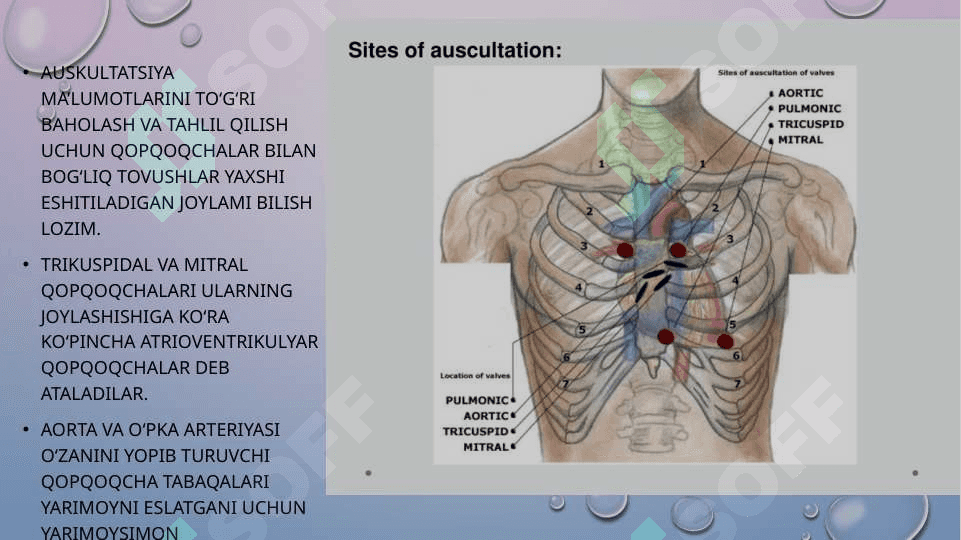 yurak AuskultatsiyasiАУСКУЛЬТАЦИЯ СЕРДЦА 4