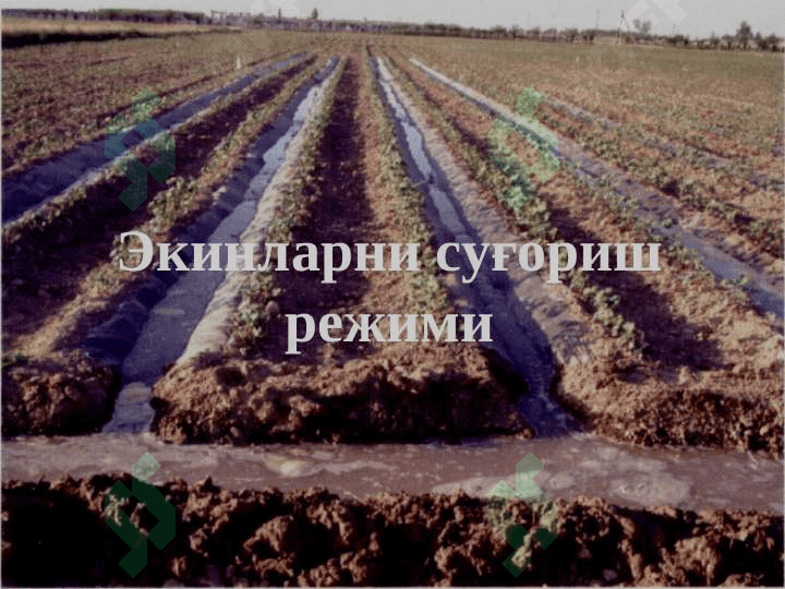 Мелиорация асослари 2
