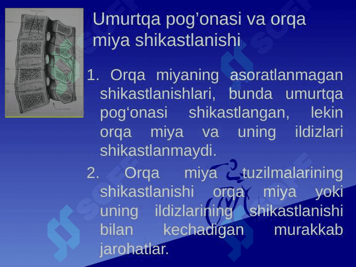 Umurtqa pog’onasi va orqa miya shikastlanishlari 2