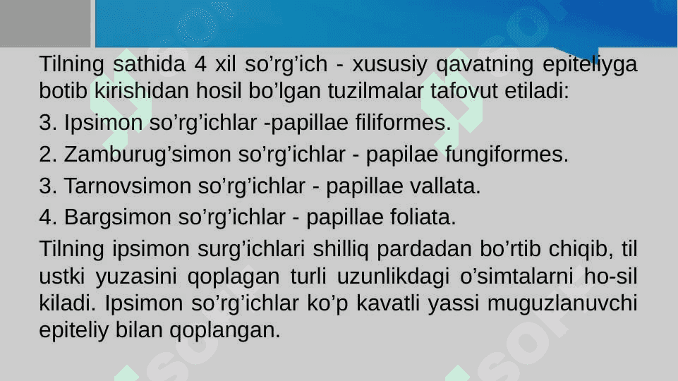 Tam bilish analizatori 4