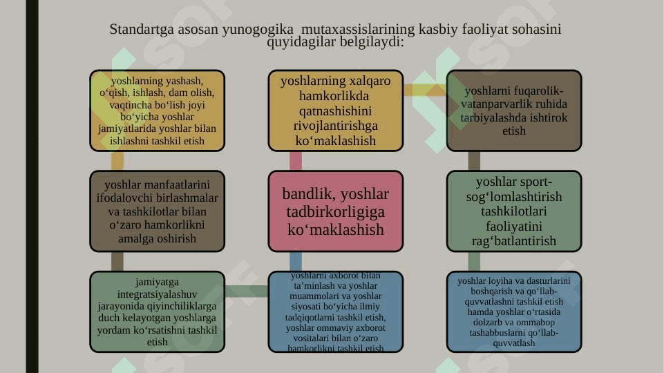 Yoshlar bilan ishlash xodimining kasbiy faoliyati 3