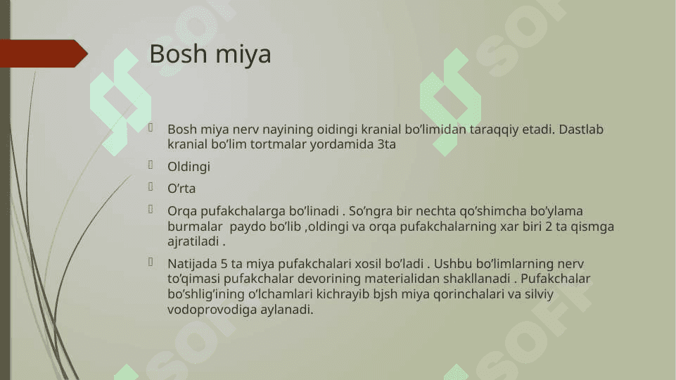 Bosh miya,miyacha,vegetative nerv tizimi 2
