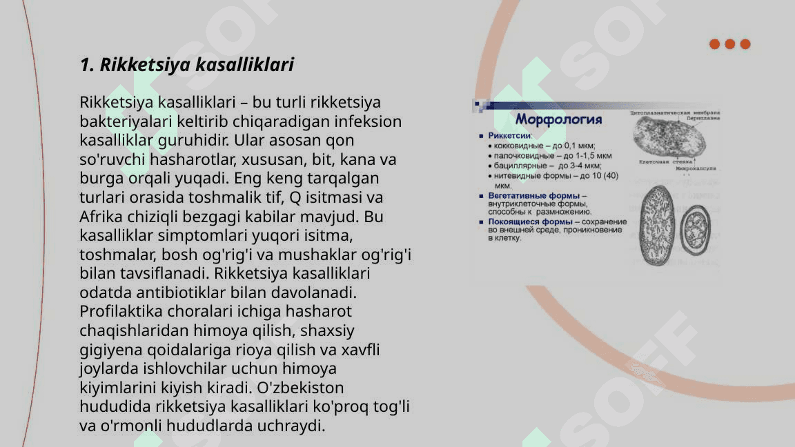 Rikketsiya 3