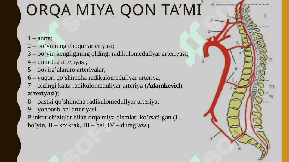 Orqa miyada qon aylanishining buzilishi 2