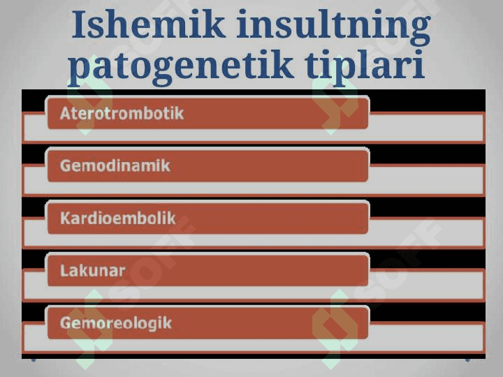 Ishemik insult 8